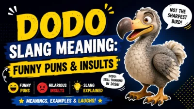 Dodo Slang Meaning Funny Puns & Insults